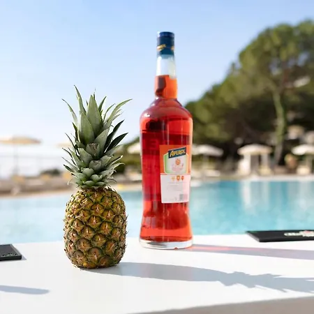 Modus Vivendi 406 San Remo